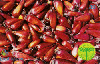 20398  RS  08/03  Pinheiro  ( 05/05 ) Tir. 250.000 Interp. 40C