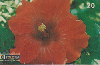 0340  RJ  11/98  Hibiscus Híbridos  (04/20) Tir.100.000 ABNC 20C