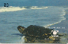 75309 ES 02/99 Praia de Regências/comboios Linhares ES Tir.150.000 CSM 20C ( CHEIO )