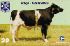 06418  PE  11/00  Sociedade Nordestina de Criadores ( 07/10 ) Tir. 150.000 CSM 30C