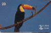 0066 SP 08/98 Aves do Brasil Tir. 500.000 CMB 20c