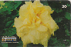 0351  RJ  01/99  Hibiscus Híbridos  (15/20) Tir.100.000 ABNC 20C