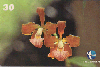 118  ES  12/99  Mata Atlântica - Flora (02/10) Tir.40.000 CSM 30C