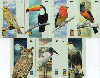 00005  RJ  FAUNA BRASILEIRA AVES ( 7 CARDS ) NÃO É CARTÃO TELEFONICO