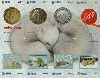 00064B Cartão Importado (PUZZLE) ( 8 CARTÕES )