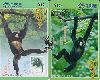 00159 Cartão Importado (PUZZLE)