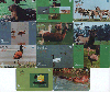 21241A  RS  04/04  Pampas Safari  ( 11 cartões )  Tir. 23.000 Int. 20C