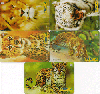 27842A  CTBC  07/02  Felinos ( 5 Cartões ) Tir. 360.000 Interp.  40C