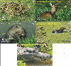 10134A  MT  Bichos do Pantanal ( 5 Cartões ) Interp. 40C