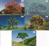 371  ES  07/00  Árvores da Mata Atlântica ( 5 Cartões ) CSM 30C
